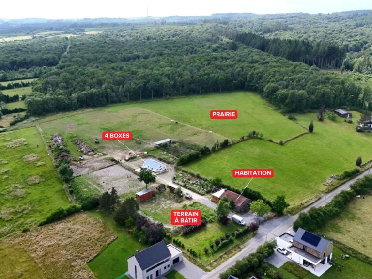 Condrogest - Ensemble immobilier sur 3,5 hectares à vendre à Serinchamps