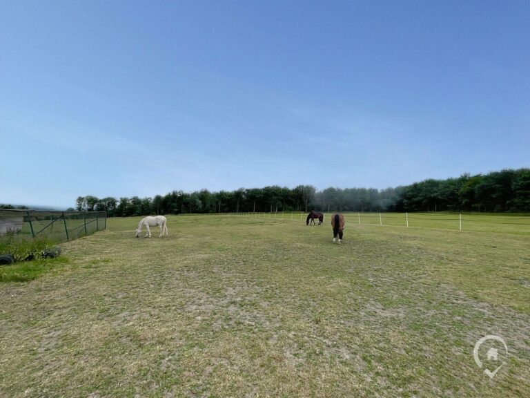 Condrogest - Ensemble immobilier sur 3,5 hectares à vendre à Serinchamps