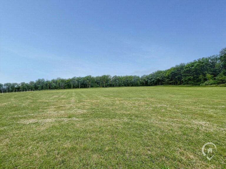 Condrogest - Ensemble immobilier sur 3,5 hectares à vendre à Serinchamps
