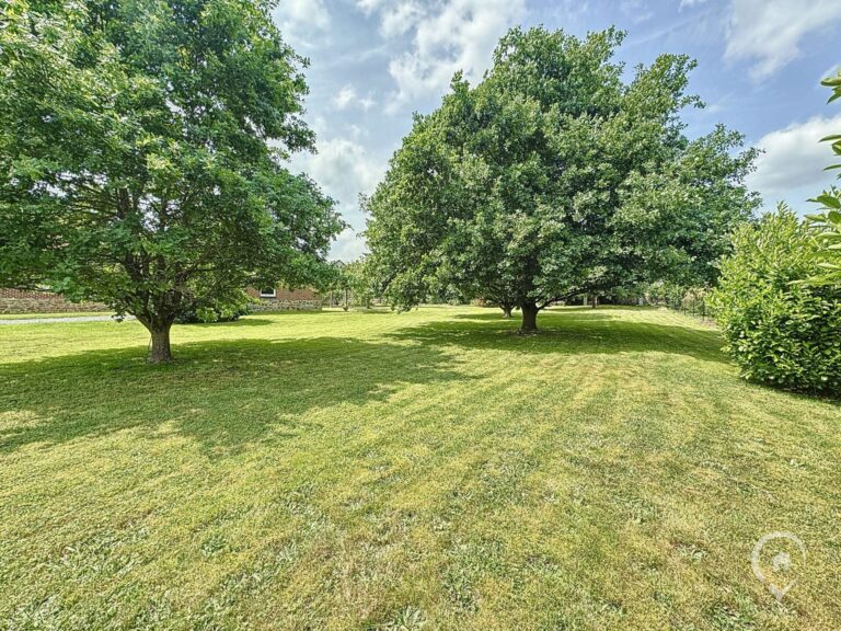 Condrogest - Villa 3 chambres à rénover à vendre à Hastière