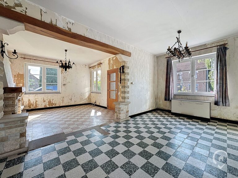 Condrogest - Villa 3 chambres à rénover à vendre à Hastière