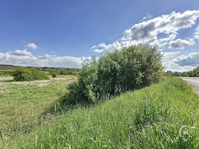 Condrogest - Terrain avec superbe vue à vendre à Rochefort