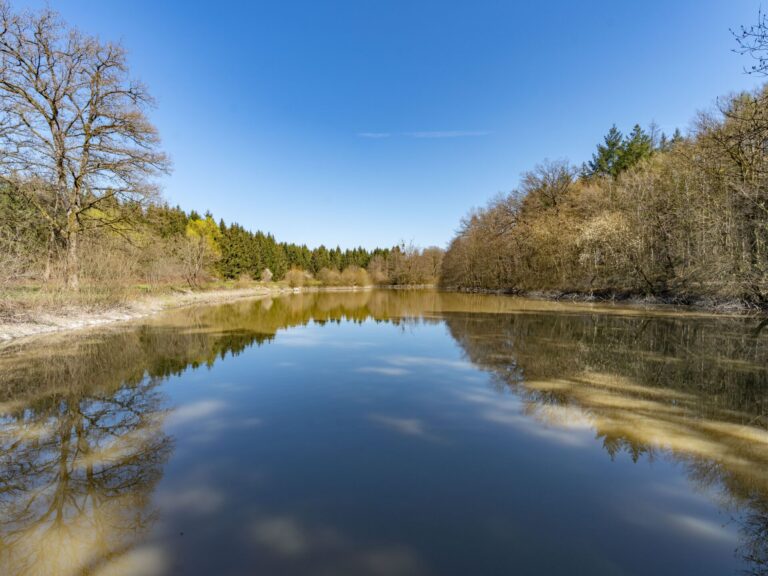 Condrogest - SOUS OPTION !!! Etang à vendre sur une parcelle de 17 hectares à Harsin