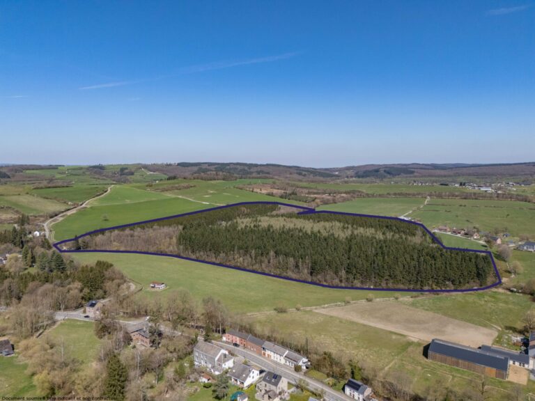 Condrogest - SOUS OPTION !!! Etang à vendre sur une parcelle de 17 hectares à Harsin