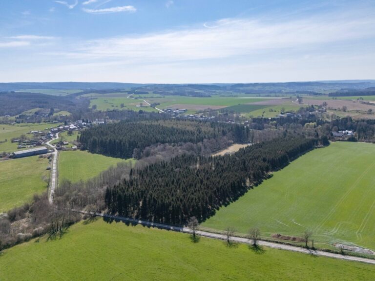 Condrogest - SOUS OPTION !!! Etang à vendre sur une parcelle de 17 hectares à Harsin