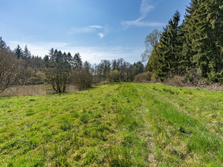 Condrogest - SOUS OPTION !!! Etang à vendre sur une parcelle de 17 hectares à Harsin