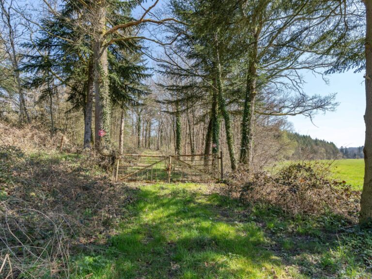 Condrogest - SOUS OPTION !!! Etang à vendre sur une parcelle de 17 hectares à Harsin