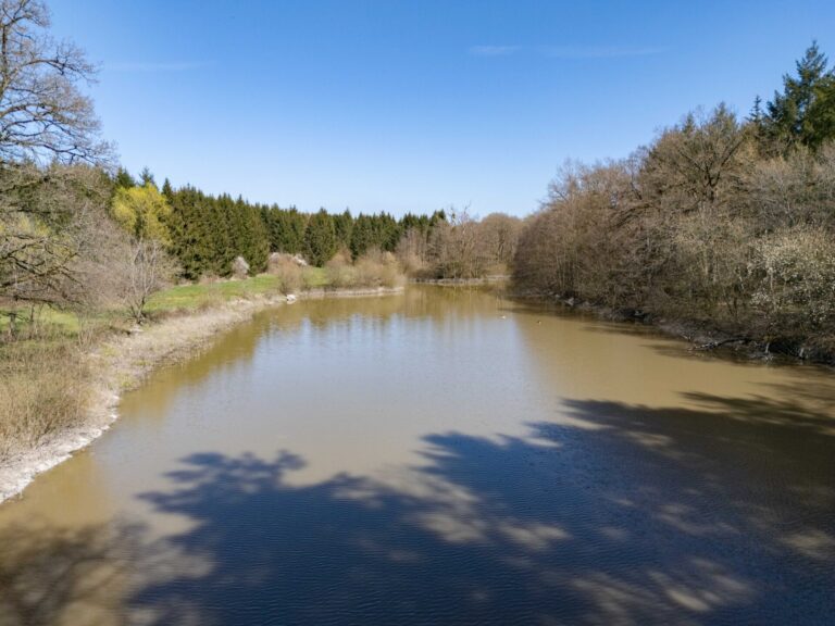 Condrogest - SOUS OPTION !!! Etang à vendre sur une parcelle de 17 hectares à Harsin