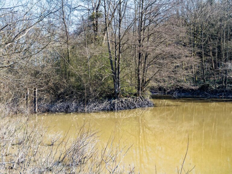Condrogest - SOUS OPTION !!! Etang à vendre sur une parcelle de 17 hectares à Harsin
