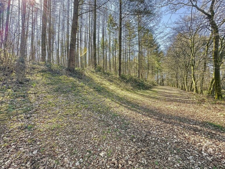 Condrogest - SOUS OPTION !!! Etang à vendre sur une parcelle de 17 hectares à Harsin