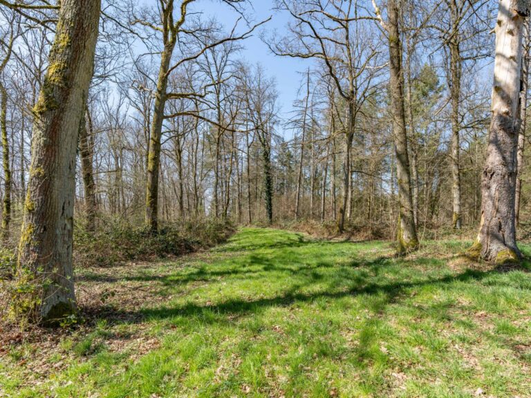 Condrogest - SOUS OPTION !!! Etang à vendre sur une parcelle de 17 hectares à Harsin