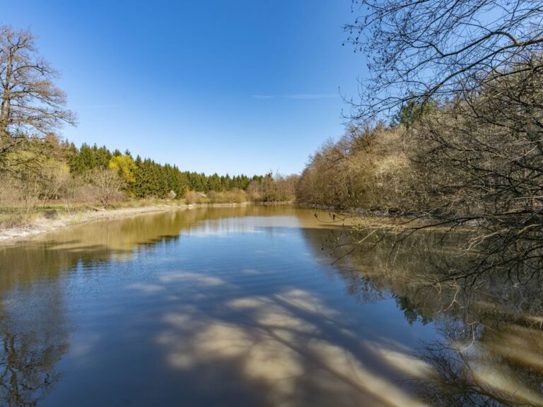 Condrogest - SOUS OPTION !!! Etang à vendre sur une parcelle de 17 hectares à Harsin