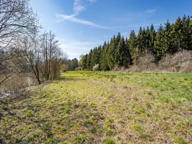 Condrogest - SOUS OPTION !!! Etang à vendre sur une parcelle de 17 hectares à Harsin