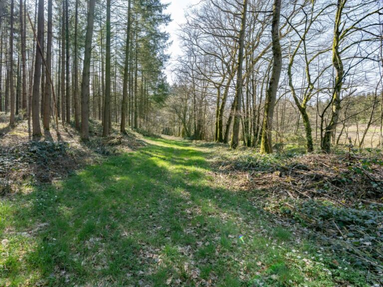 Condrogest - SOUS OPTION !!! Etang à vendre sur une parcelle de 17 hectares à Harsin