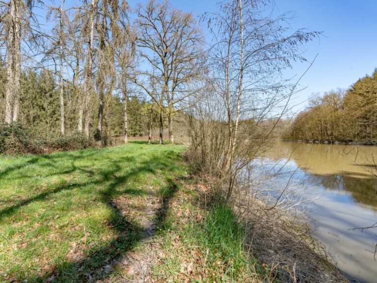 Condrogest - SOUS OPTION !!! Etang à vendre sur une parcelle de 17 hectares à Harsin
