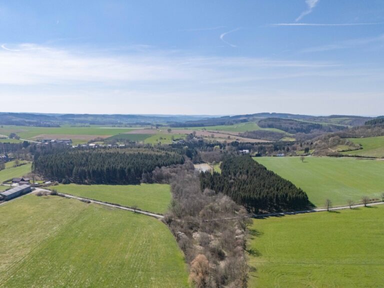 Condrogest - SOUS OPTION !!! Etang à vendre sur une parcelle de 17 hectares à Harsin