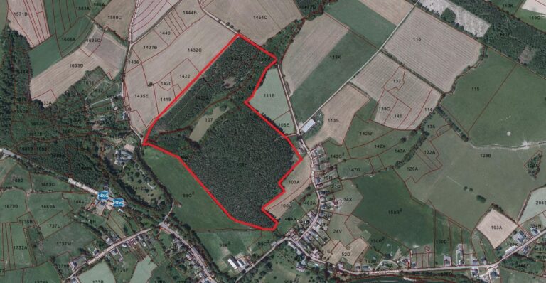 Condrogest - SOUS OPTION !!! Etang à vendre sur une parcelle de 17 hectares à Harsin
