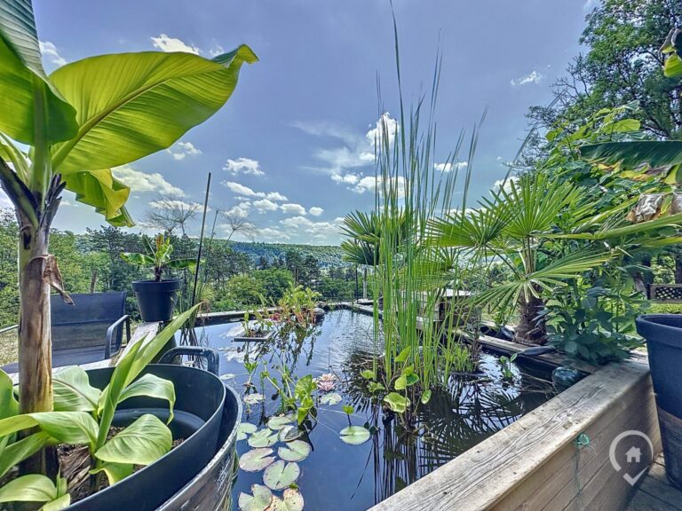 Condrogest - Superbe propriété sur + de 1HA 30A avec vue unique à Hamoir