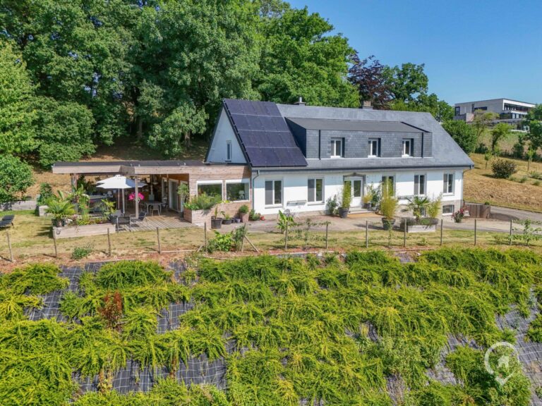 Condrogest - Superbe propriété sur + de 1HA 30A avec vue unique à Hamoir