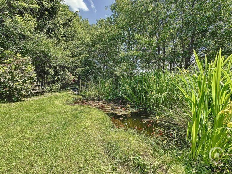 Condrogest - Option ! Studio à vendre avec une superbe vue à Nassogne