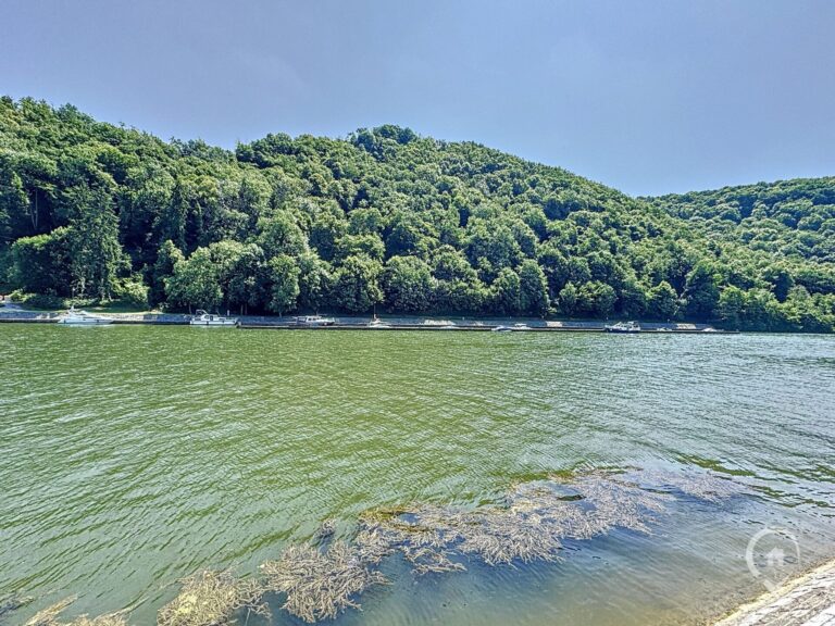 Condrogest - Studio situé sur les bords de Meuse à Waulsort