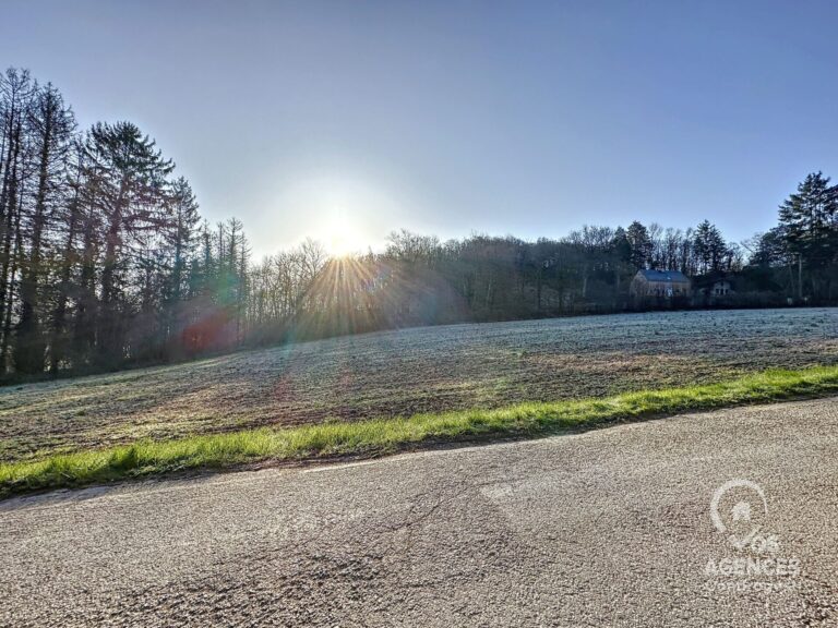 Condrogest - Terrain agréable dans la forêt de Dion