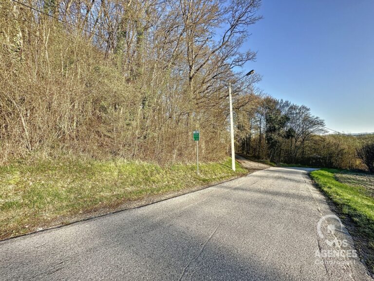 Condrogest - Terrain agréable dans la forêt de Dion