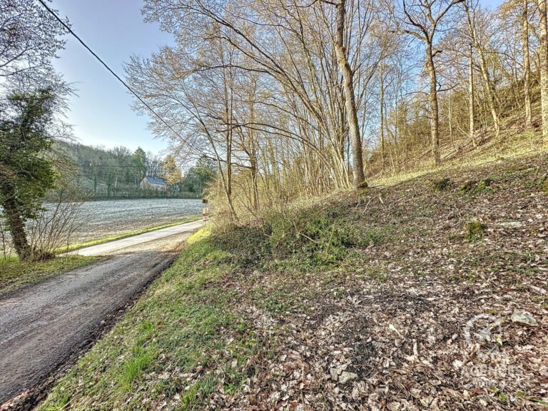 Condrogest - Terrain agréable dans la forêt de Dion