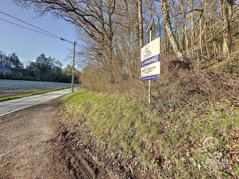 Condrogest - Terrain agréable dans la forêt de Dion