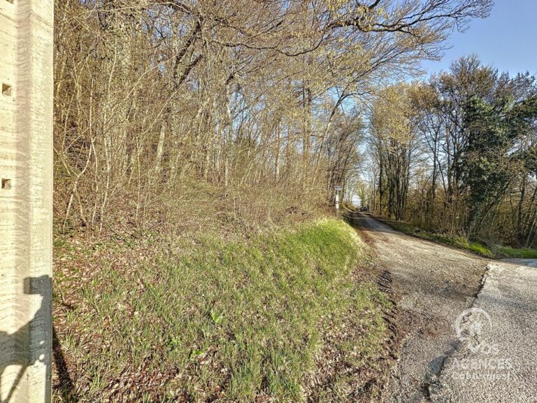 Condrogest - Terrain agréable dans la forêt de Dion