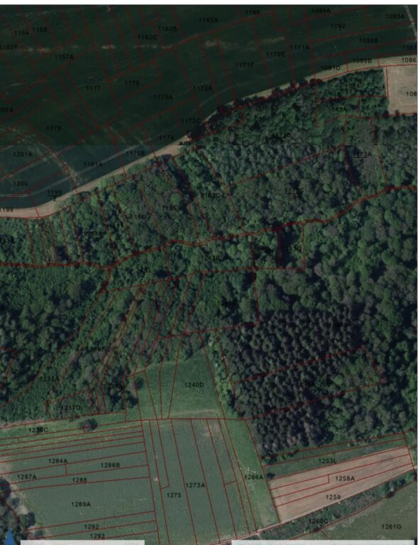 Condrogest - Lot de 8 terrains agricoles, pâture et bois à Hulsonniaux
