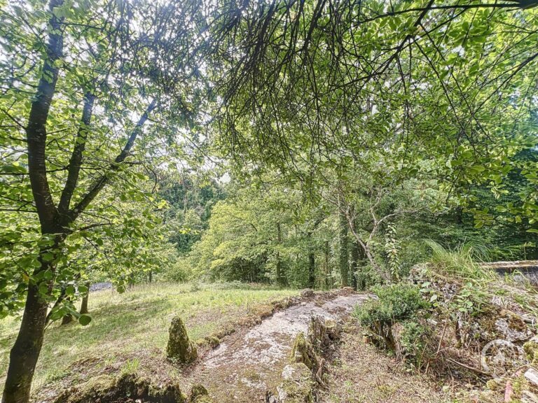 Condrogest - Vos Agences Condrogest Dinant - Vastgoed in de Ardennen