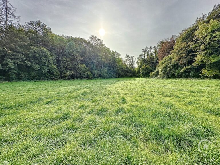 Condrogest - Terrain avec vue agréable sur la campagne