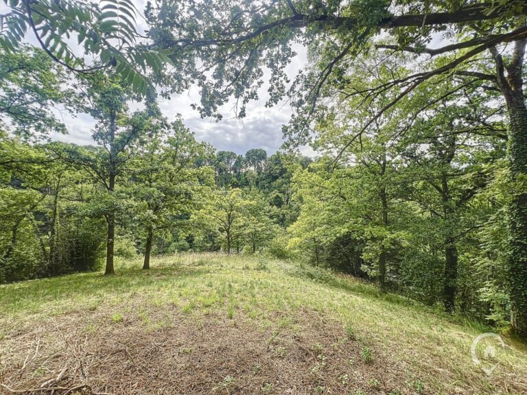 Condrogest - Chalet avec 3 chambres à vendre à Dinant