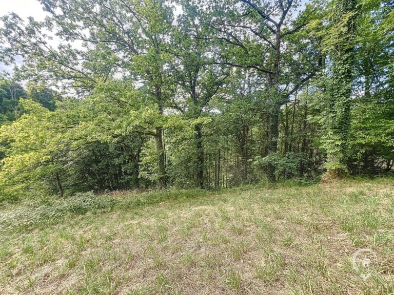 Condrogest - Chalet avec 3 chambres à vendre à Dinant