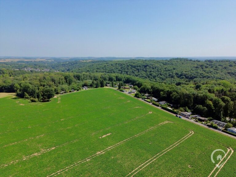 Condrogest - Tiny House sur un terrain privé de 4 ares à vendre à Onhaye