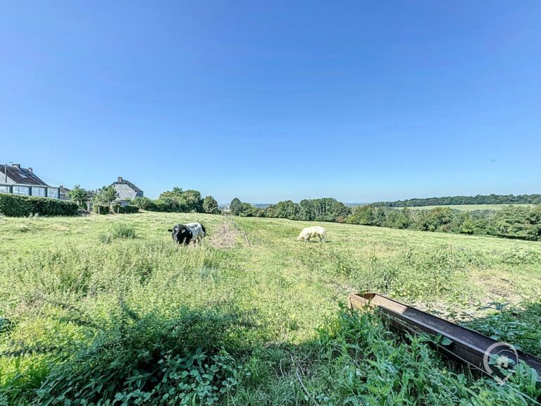 Condrogest - Propriété agricole de 3 hectares à vendre à Dréhance, Dinant