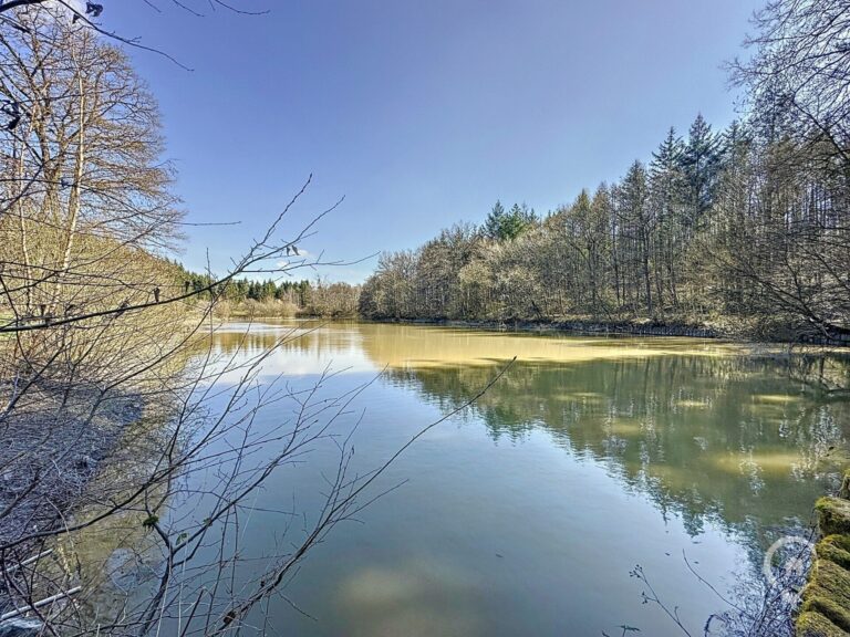 Condrogest - VENDU !!! Etang à vendre sur une parcelle de 17 hectares à Harsin