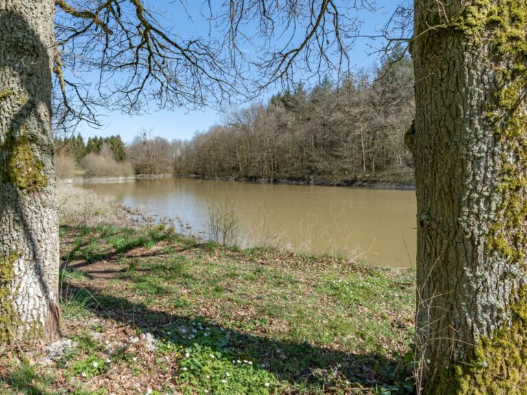 Condrogest - VENDU !!! Etang à vendre sur une parcelle de 17 hectares à Harsin