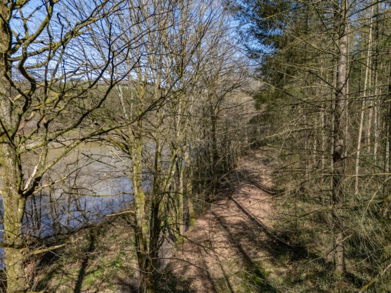 Condrogest - VENDU !!! Etang à vendre sur une parcelle de 17 hectares à Harsin