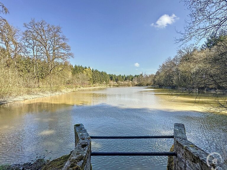 Condrogest - VENDU !!! Etang à vendre sur une parcelle de 17 hectares à Harsin
