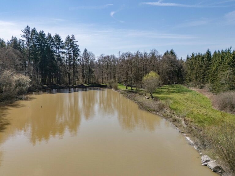 Condrogest - VENDU !!! Etang à vendre sur une parcelle de 17 hectares à Harsin