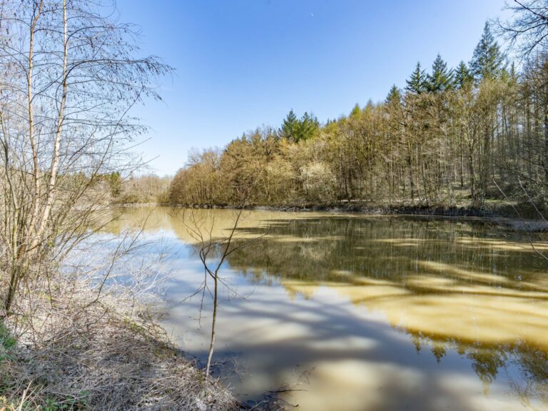 Condrogest - VENDU !!! Etang à vendre sur une parcelle de 17 hectares à Harsin