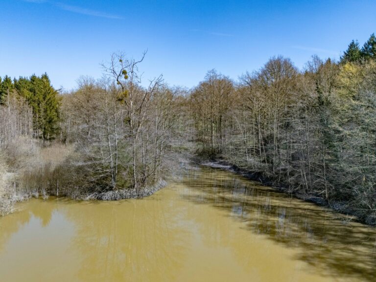 Condrogest - VENDU !!! Etang à vendre sur une parcelle de 17 hectares à Harsin