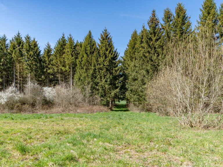Condrogest - VENDU !!! Etang à vendre sur une parcelle de 17 hectares à Harsin
