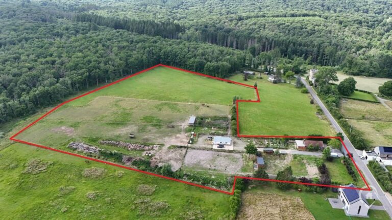 Condrogest - Ensemble immobilier sur 3,5 hectares à vendre à Serinchamps
