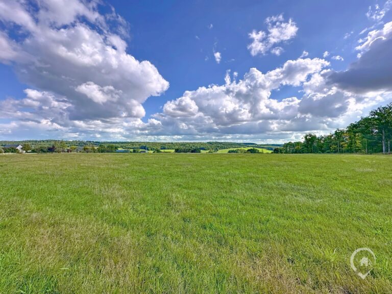 Condrogest - Ensemble immobilier sur 3,5 hectares à vendre à Serinchamps