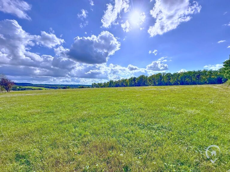Condrogest - Ensemble immobilier sur 3,5 hectares à vendre à Serinchamps