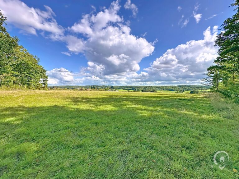 Condrogest - Ensemble immobilier sur 3,5 hectares à vendre à Serinchamps