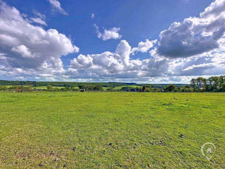 Condrogest - Ensemble immobilier sur 3,5 hectares à vendre à Serinchamps